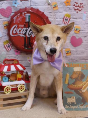 20230906ライトくん